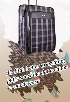 Cosmetic luggage