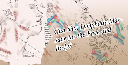 Lymphatic system in face and neck